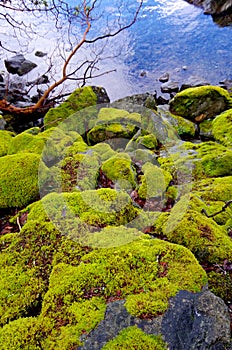 Moss covered boulders slope down to the water