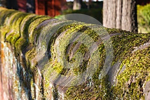 A moss covered brick wall.