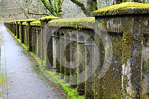 Moss Covered Bridge