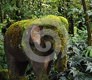 Moss covered elephant