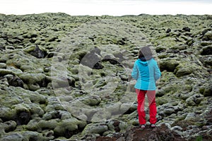 Moss covered lava field, Eldhraun, Iceland
