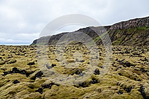 Moss Covered Lava Landscape in Heidmork Iceland