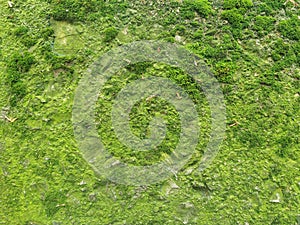 Moss covered rocks,background
