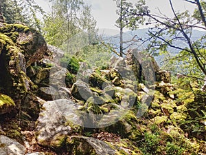 Moss covered rocks in Black Forest