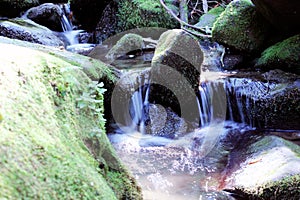 Moss covered rocks in cold mountain stream at Smoky Mountains