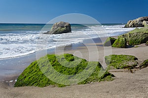 Moss Covered Rocks at Leo Carillo State Beach