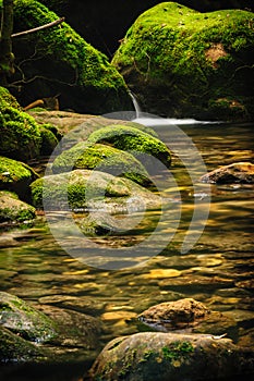 Moss covered rocks near cascade in rains forest.