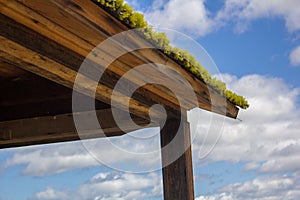 Moss covered roof