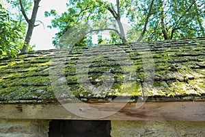 A moss covered shingled roof