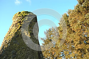 Moss Covered Standing Stone