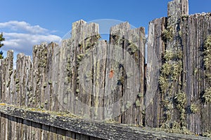 Moss Covered Stockade Fence Background or Backdrop