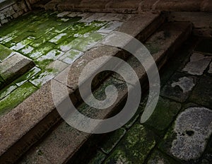Moss covered stone floor