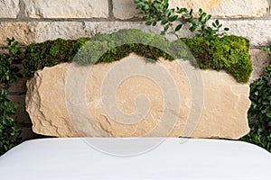Moss-covered stone slab in natural setting