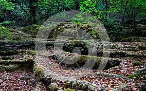 Moss covered stones in the woods