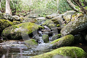 Moss covered stream with waterfall at high shutterspeed