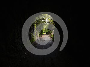 Moss covered tunnel opening of Chasm Creek Trail Track on abandoned railway line in Mokihinui West Coast New Zealand