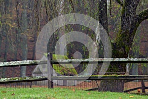 Moss covered wooden fence separating the property lines of a local farm