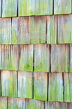 Moss covered wooden slatted building with timber panels in shade as texture