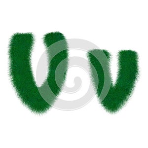 Moss fibroid letter V