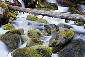 Moss Filled Boulders Fill Stream as Water Rushes By