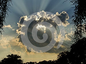Sunrays project from a cloud