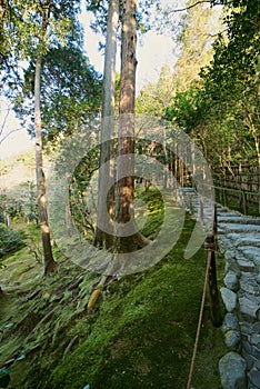 The moss garden at Ginkakuji in Kyoto, Japan