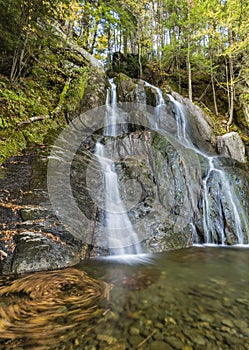 Moss Glen Falls Leaf Swirl