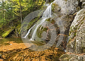 Moss Glen Falls Leaf Swirls