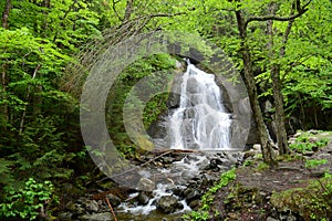 Moss Glen Falls, Vermont, USA photo