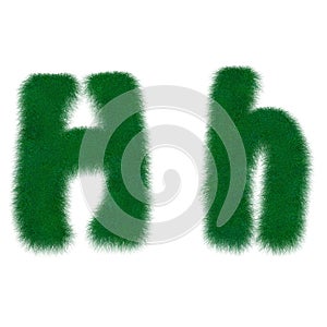 Moss green letter H