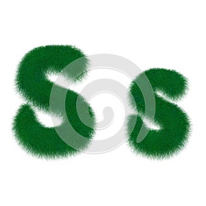 Moss green letter S