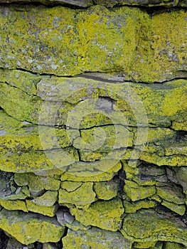 Moss green lichen lawny virid stone rock surface background pattern wall blocks masonry setting photo