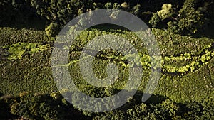 moss in a lake in rebild bakker in denmark