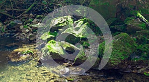 Moss on the Large Stones in the Water photo