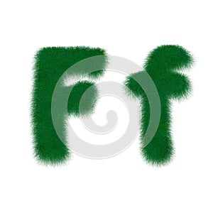 Moss letter stringy F