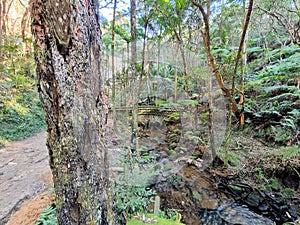 Moss and Lichen Covered Stone Arch Bridge in over a small creek