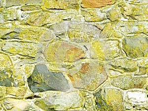 Moss lichen covers colonial era stone house wall