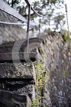 Moss and lichen frowing on surface of very old steps in Savannah Georgia, USA. photo