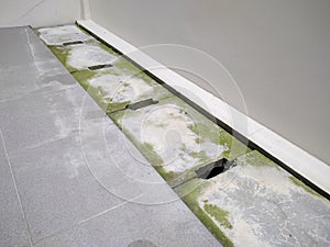 Moss on the manhole cover