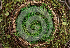 Moss Nest Digital Newborn Backdrop