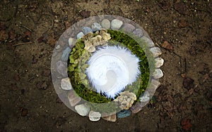 Moss and River Stone Rocks Nature Newborn photography digital ba