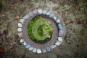 Moss and River Stone Rocks Nature Newborn photography digital ba