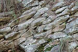 Moss on rock face relief texture of stone with patterns