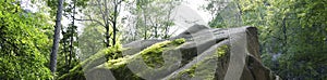 Moss on the rock. Stolby national park in Krasnoyarsk.