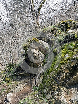 Moss on the rocks in the vicinity of Borjomi Park