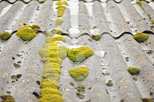 Moss and snow on the tile roof. snow is melting