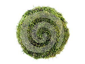 Moss sphere photo