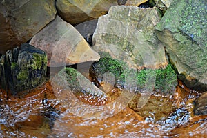 Moss on stone in water