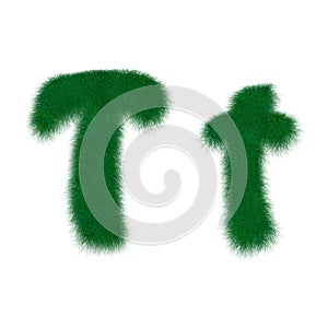 Moss stringy letter T
