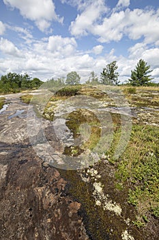 Moss and stunted vegetation on granite bedrock photo